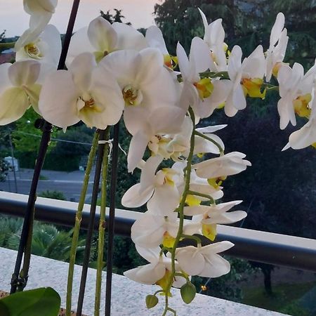 Alloggio Orchidea Monfalcone Kültér fotó