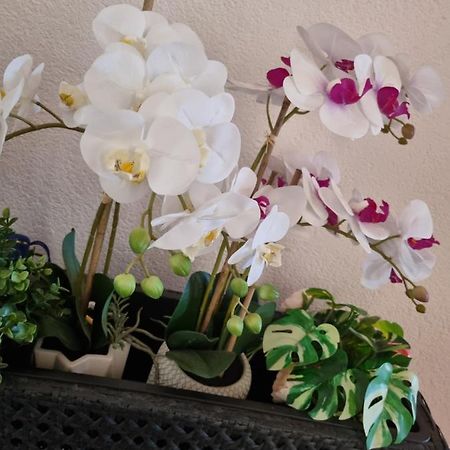 Alloggio Orchidea Monfalcone Kültér fotó