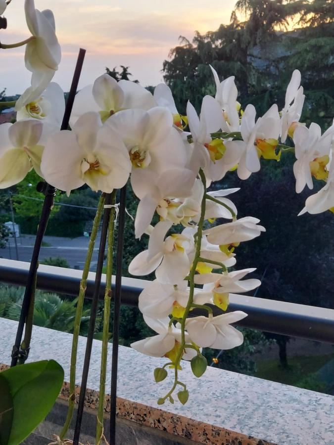 Alloggio Orchidea Monfalcone Kültér fotó